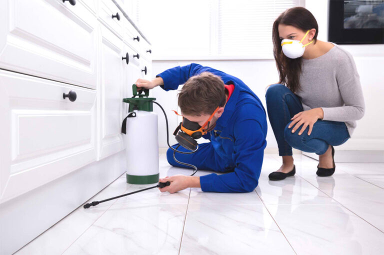 Why Professional Pest Control Is Worth It for Your Home